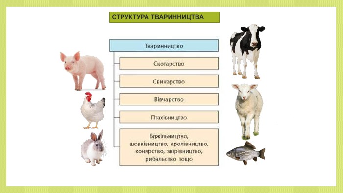 C:\Users\User\Desktop\3.jpg